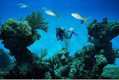 玩调《勇者斗恶龙》HD-2D版前两部期待度 1代没人气